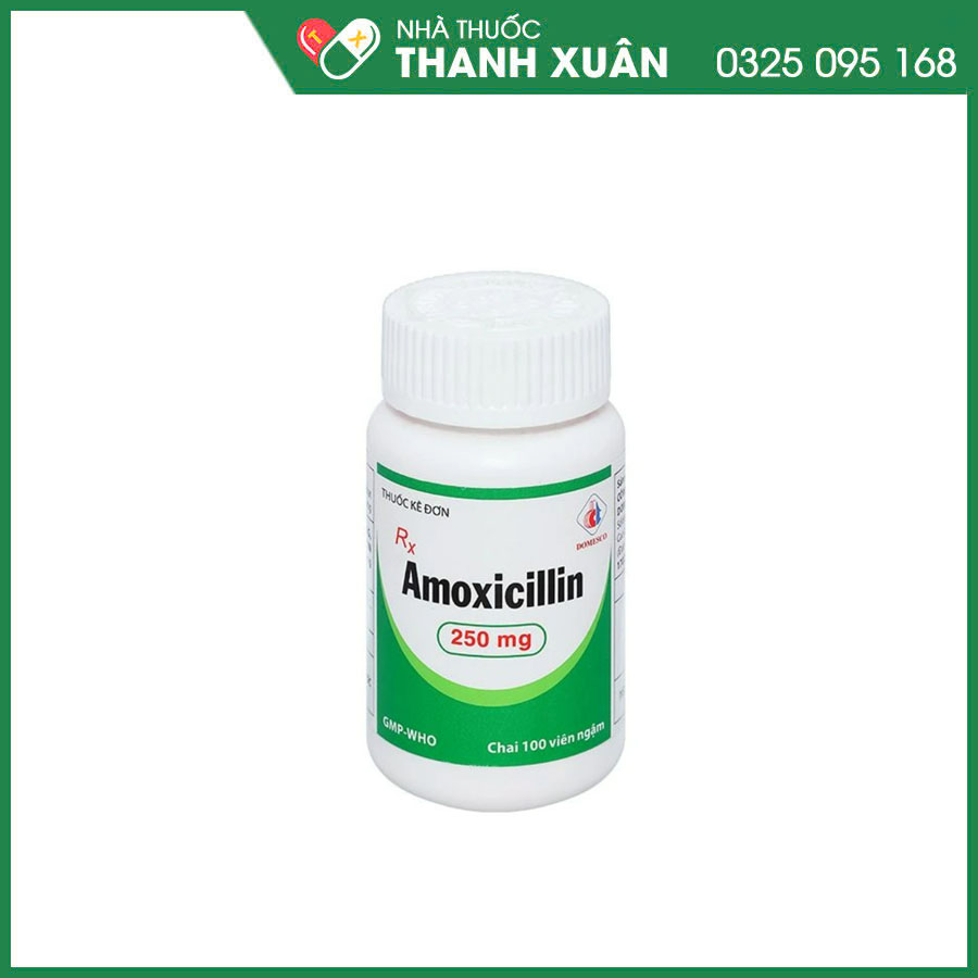 Amoxicillin 250mg Domesco thuốc kháng sinh điều trị nhiễm khuẩn đường hô hấp, tiết niệu, da và cơ